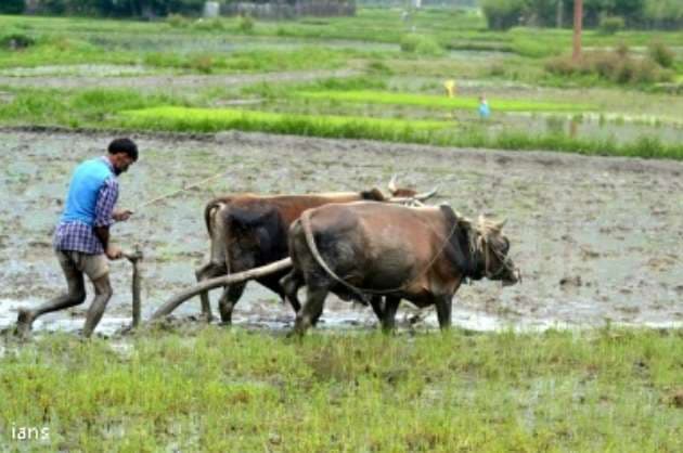 Monsoon 2021 expected to rescue India s agriculture in FY22
