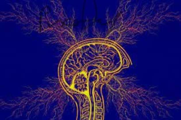 Stroke  How to avoid it and tips to prevent it