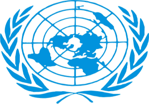 India highlights challenge of fighting terror and preserving human rights