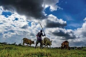 Govt to table Bill in LS today to repeal farm laws