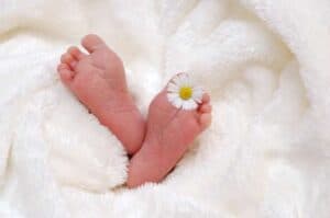 Attapadi a  paradise for politicking   as infant deaths continue unabated
