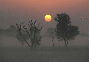 Delhi shivers at 2.6 degrees, fog hits 60 trains