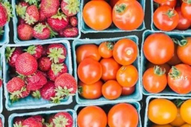NZ s annual food price increases to highest in decade