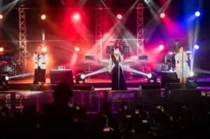 DWTC closes 2018 with  ano