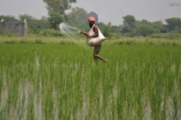 Centre s fertiliser subsidy bill expected to rise 62  in FY22