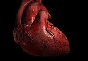 English man lives sans heart for 2 yrs!