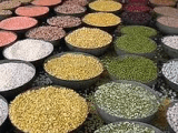 Food Security Bill:Finally,some sense prevails over govt; no Ordinance but spl session likely