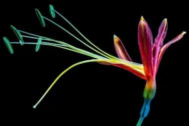 to accelerate plant life