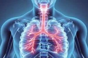 Asthmatics no higher risk of dying from Covid  Study