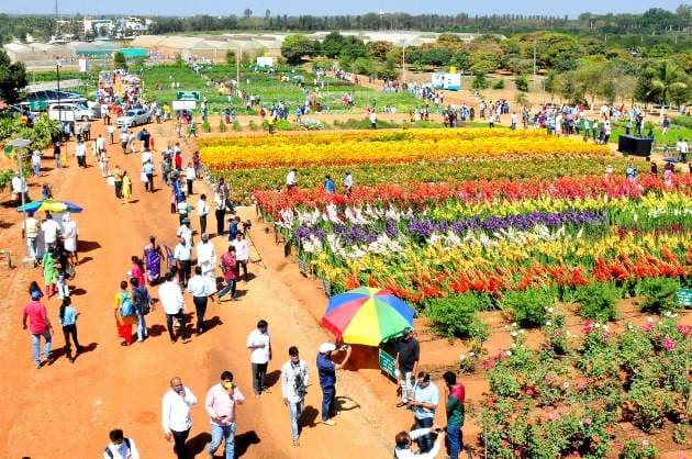 Over 16L farmers interacted with experts in five days  IIHR