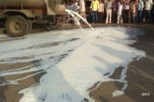 J K govt dispels milk dumping report as  attention grabbing  tactics