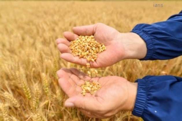 Pakistan has transported first load of Indian wheat and medicines to Af