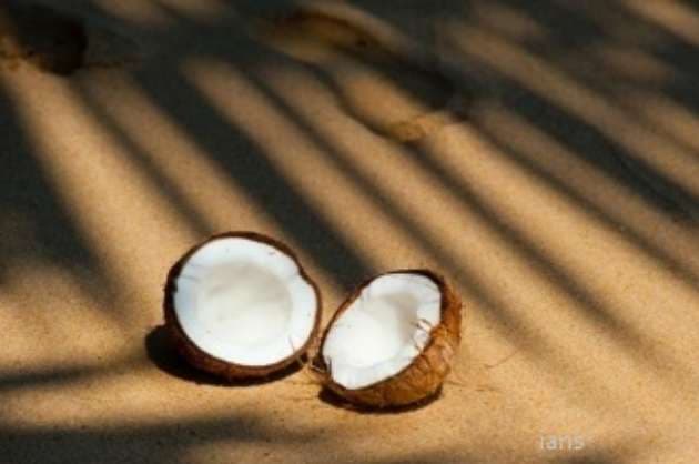 A healthy summer diet