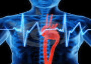 Cardiac diseases affecting Indian women more, warn doctors