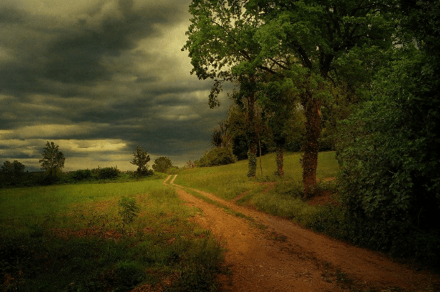 unceasoned rain
