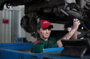 Maruti Suzuki issues stat