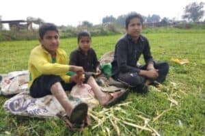 This Jammu border village is harvesting crops without fear   bombings