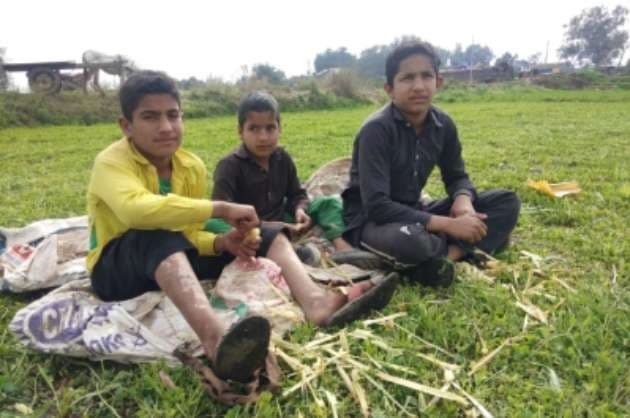 This Jammu border village is harvesting crops without fear   bombings