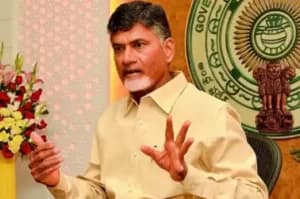 Chandrababu Naidu asks TD