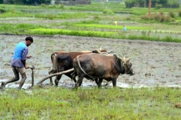 As target date approaches  doubling of farmers  incomes still a distant dream