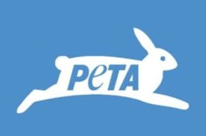 India  It s Time to Move Away From Meat