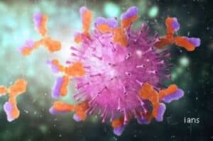 Antibody from common cold reacts to Covid infection Study