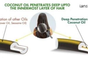 Finally  the Evidence behind Super Ingredient for Hair Care