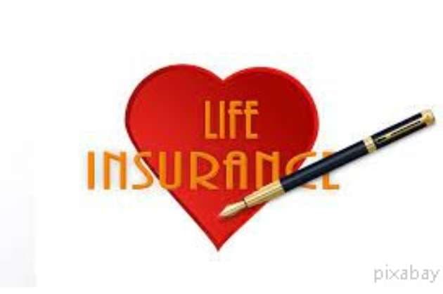 Non Linked Non participating Life Insurance Plans