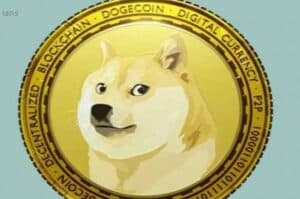After Tesla  SpaceX to accept Dogecoin for merchandise soon