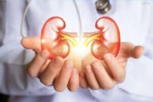 Scientists identify new liver and kidney disease