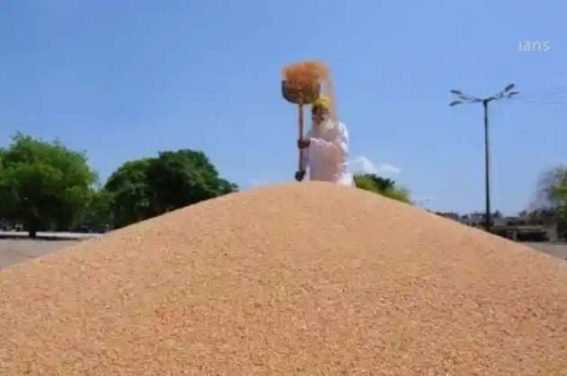 World Food Program to study Punjab wheat storage facility