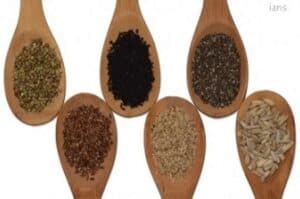UN honour in disaster risk reduction for Indian non profit SEEDS