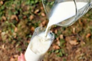 Amul hikes milk prices for first time in one and half years