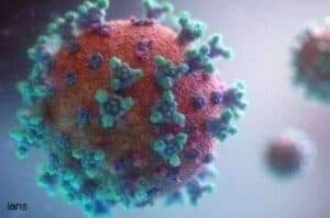 The origins of coronavirus