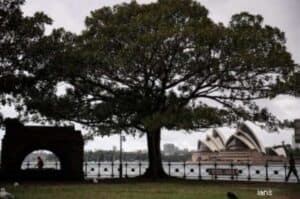 Sydney extends lockdown to more areas