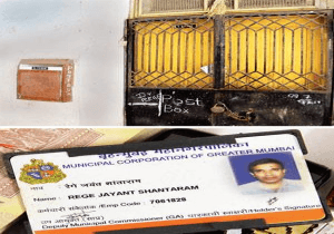 City doc to be cremated today