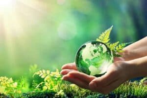Scrap environment impact assessment draft  Green activists