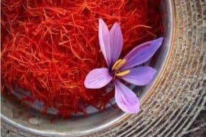 Kashmir Saffron gets GI tag
