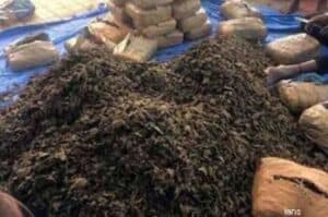 Ganja worth over Rs 8 cr seized in Telangana