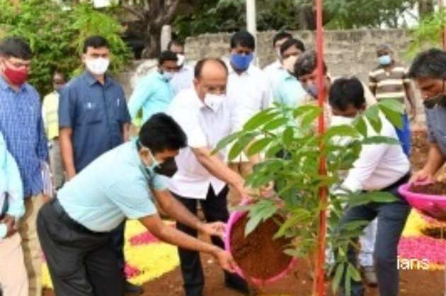 Multilayer avenue plantation to be taken up in Hyderabad