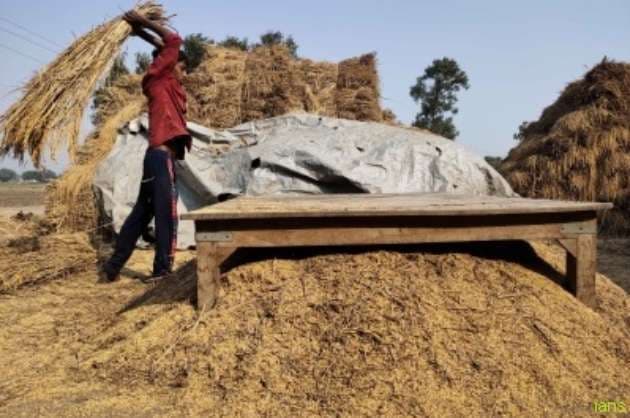 Record 308 65 million tonnes foodgrain production expected this year