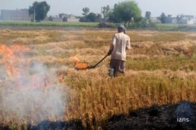 Punjab appoints 8 500 nodal officers to monitor stubble burning