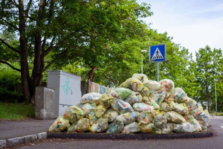 UN Agencies: About 1.3 Billion Tonnes of Food Wasted Yearly