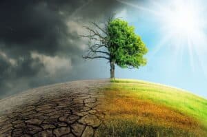 Climate Change Health Risks for Vulnerable Groups: Urgent Need for Inclusive Action Plans