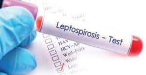 About Leptospirosis That Has Affected Punjab CM Bhagwant Mann