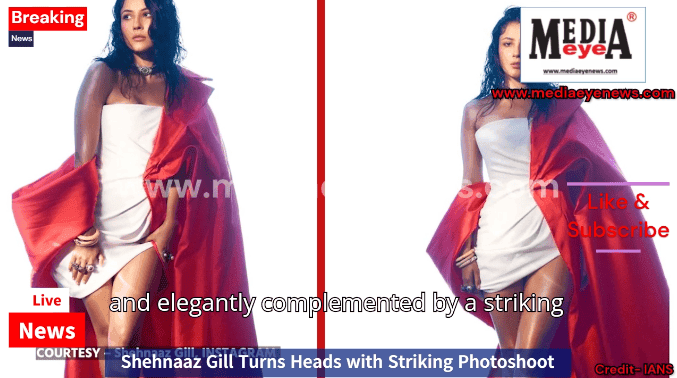 Shehnaaz Gill Turns Heads with Striking Photoshoot