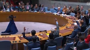 India Gives Proof of TRF Terror to UNSC Sanctions Panel Monitoring Team: Sources