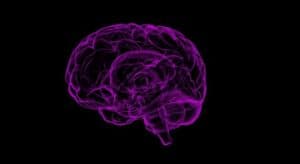Study Finds Common Gene Variant That Doubles Dementia Risk For Men