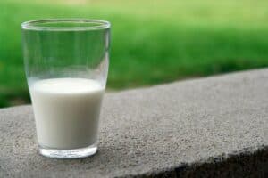 The Moral Debate Around Milk: Is Dairy Still a Pure Food in a Changing World?