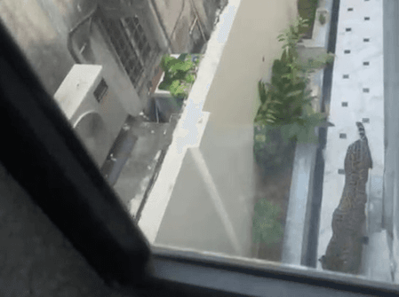 Leopard Sparks Security Alert After Entering Rajasthan Minister Suresh Singh Rawat’s Jaipur Bungalow